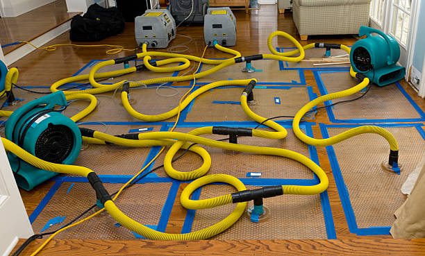 Professional Water Damage Restoration technician working in Fort Lee, NJ